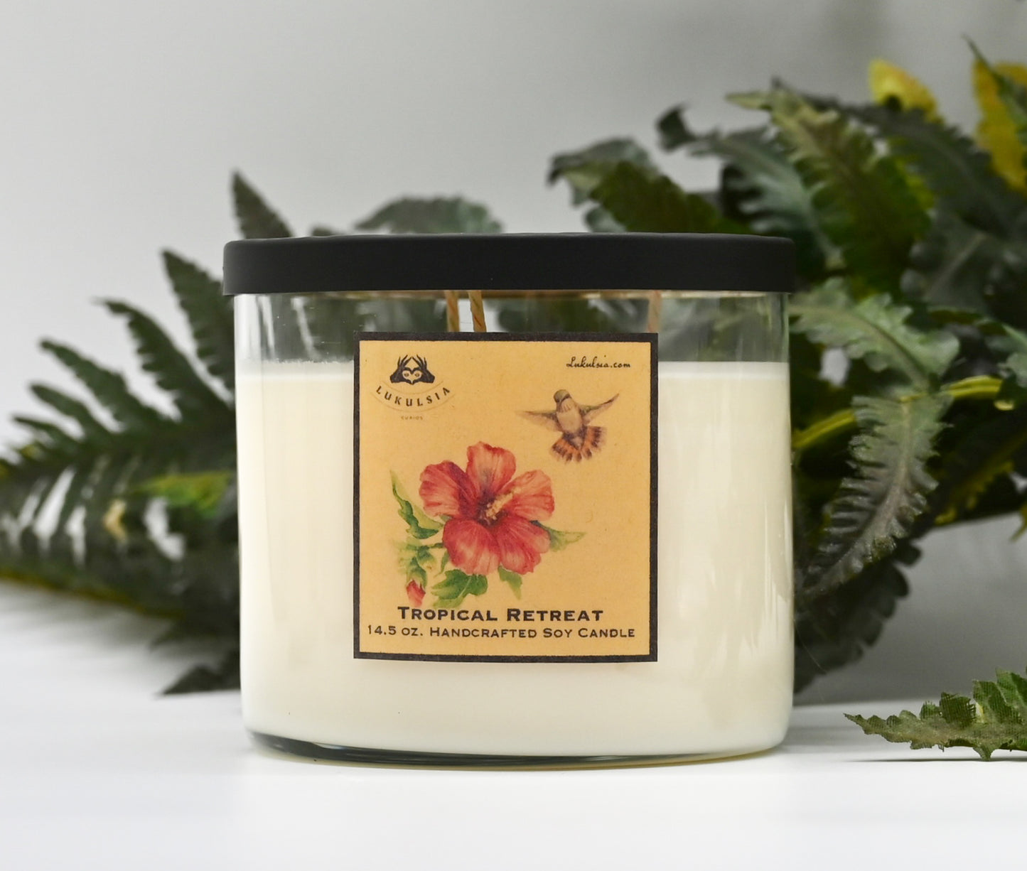 Soy Wax Scented Candles